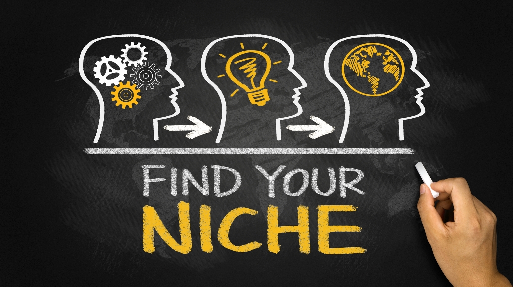 تمرکز بر یک حوزه مشخص (Niche)